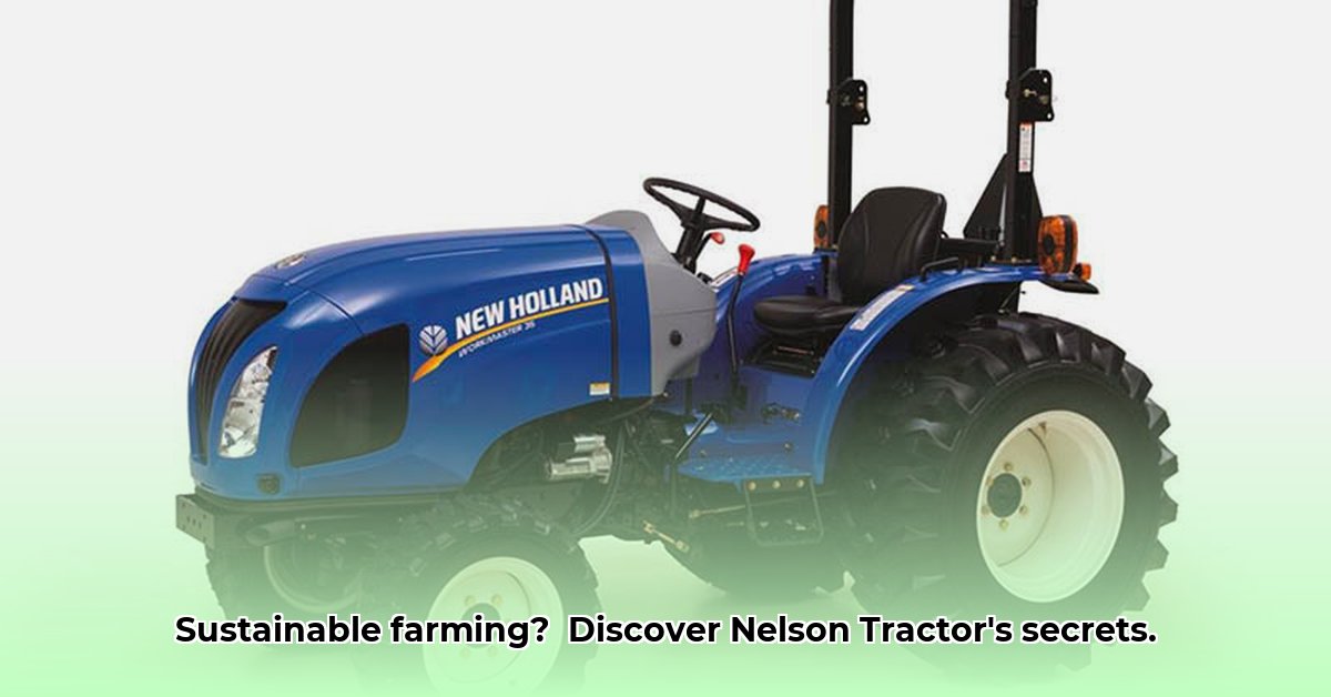 nelson-tractor-jasper-georgia
